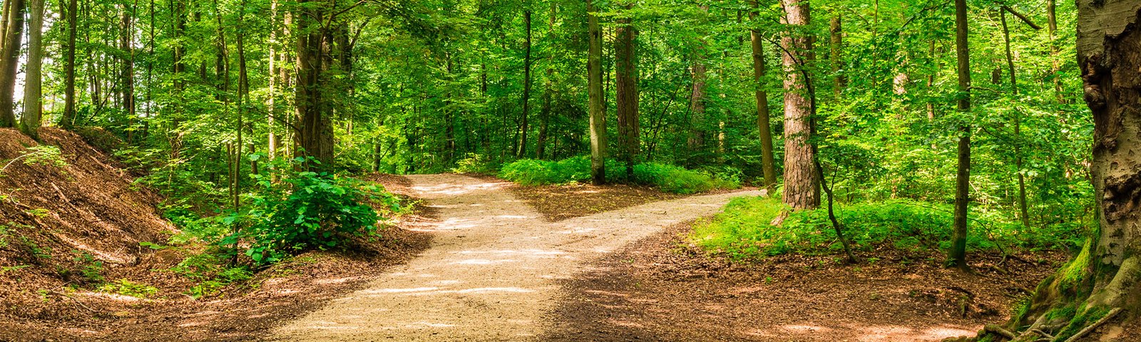 off-the-beaten-path-web