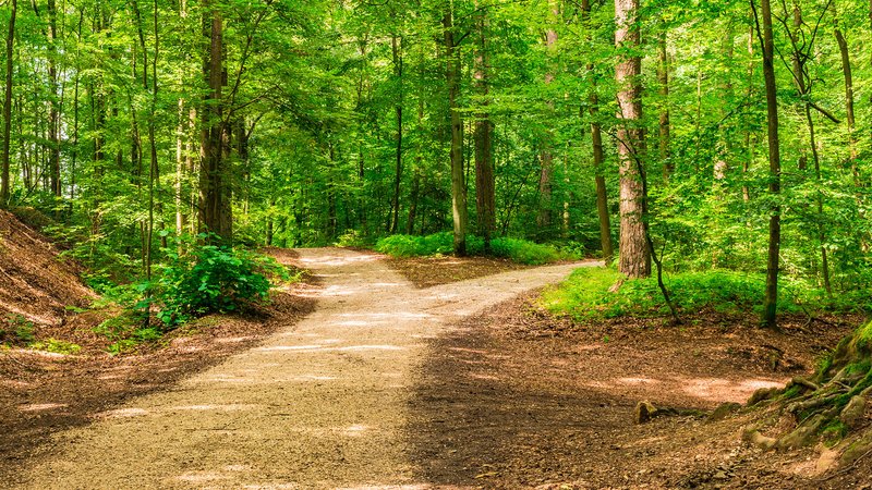 off-the-beaten-path-web