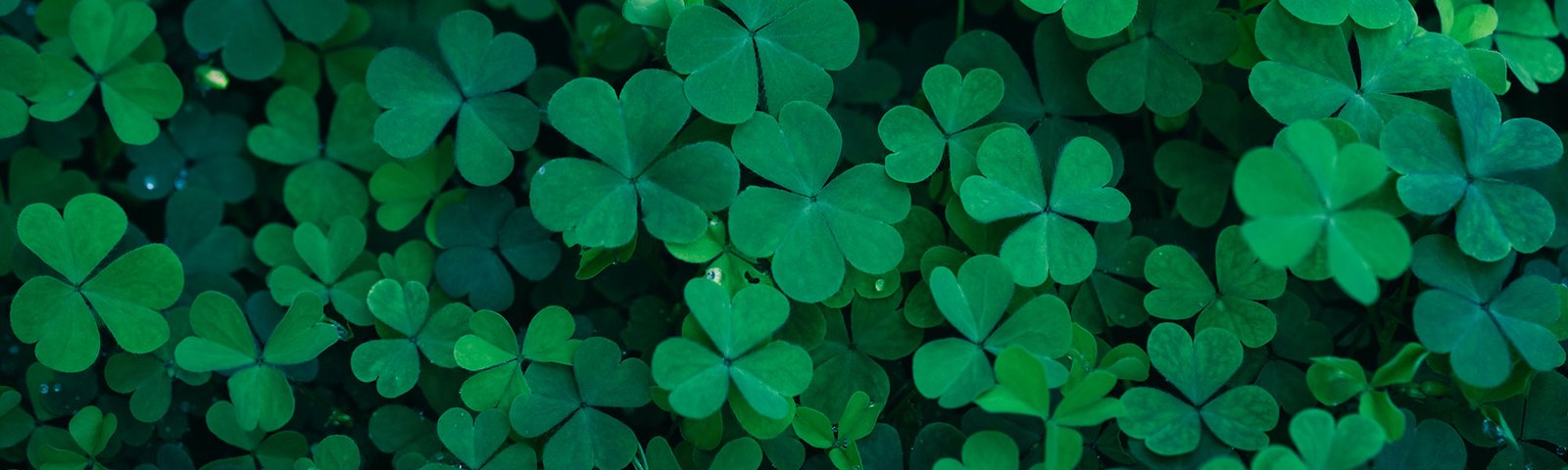 st-patricks-clover-web-1